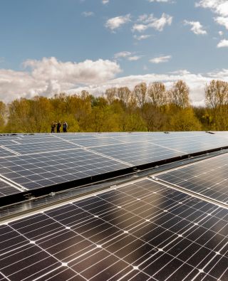 zonnepanelen op een rij