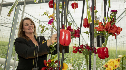 vrouw in paprika kas