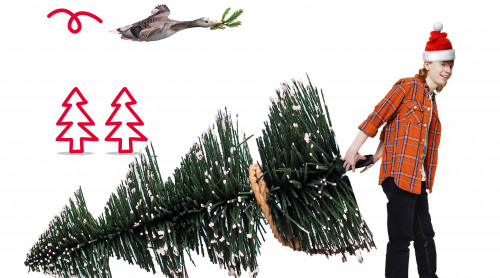 jongen sleept kerstboom achter zich aan. Links achter twee getekende kerstbomen. Daarboven vliegt een eend met in de bek een kersttakje