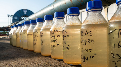 watermonsters test Trias Westland 2