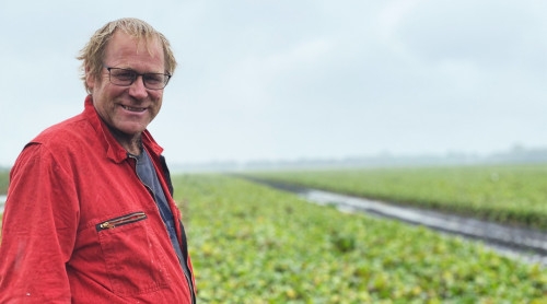 Bietenteler Kees Schaap staat voor akker vol bieten