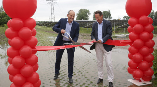 Wethouder en directeur openen zonnepark Amstelwijck