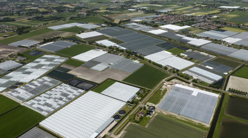 Kassengebied Alton Heerhugowaard