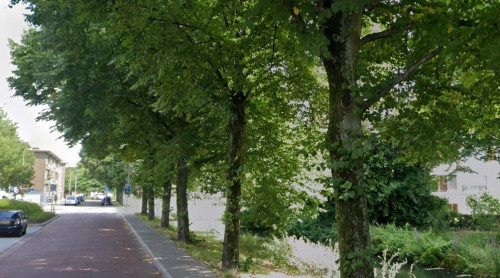 Foto van de locatie van de werkzaamheden in de P.C. Hooftlaan in Sliedrecht