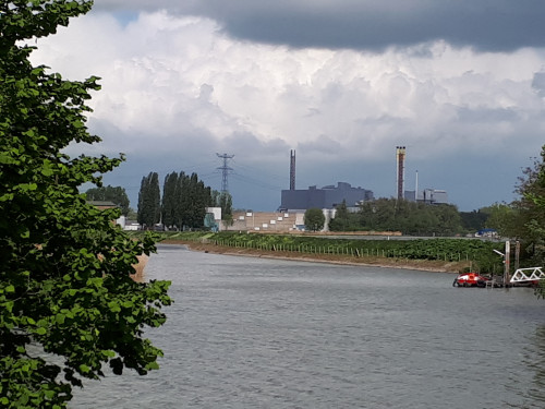 Links een boom in het midden een rivier op de achtergrond de afvalenergiecentrale van HVC in Dordrecht