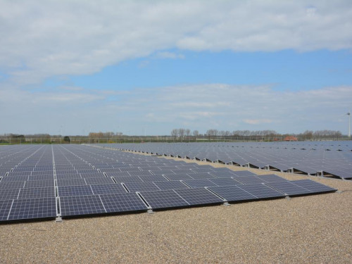 Rijen met zonnepanelen op Zonnepark Wieringermeer