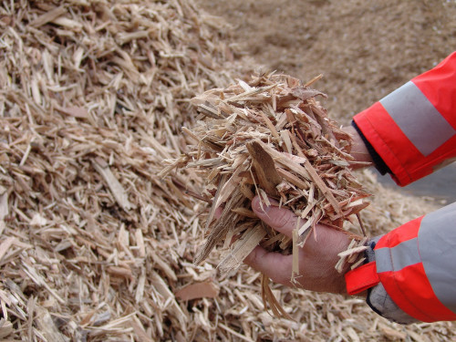 medewerker van HVC raapt met zijn handen houtsnippers op. Deze houtsnippers was afval hout wat nu vermalen is tot snippers.
