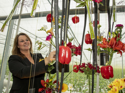 vrouw in paprika kas