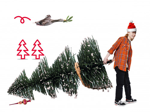 jongen sleept kerstboom achter zich aan. Links achter twee getekende kerstbomen. Daarboven vliegt een eend met in de bek een kersttakje
