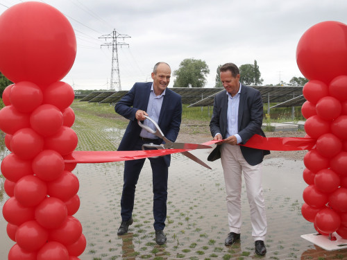 Wethouder en directeur openen zonnepark Amstelwijck