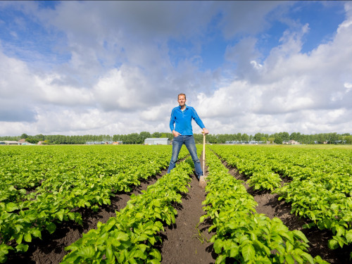 Groenteteler op zijn land