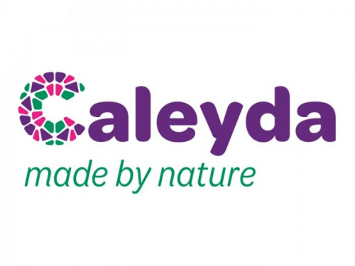 Logo Caleyda