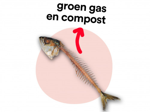Gft website_restafval