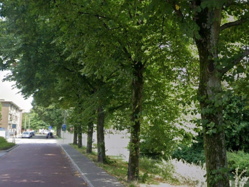 Foto van de locatie van de werkzaamheden in de P.C. Hooftlaan in Sliedrecht